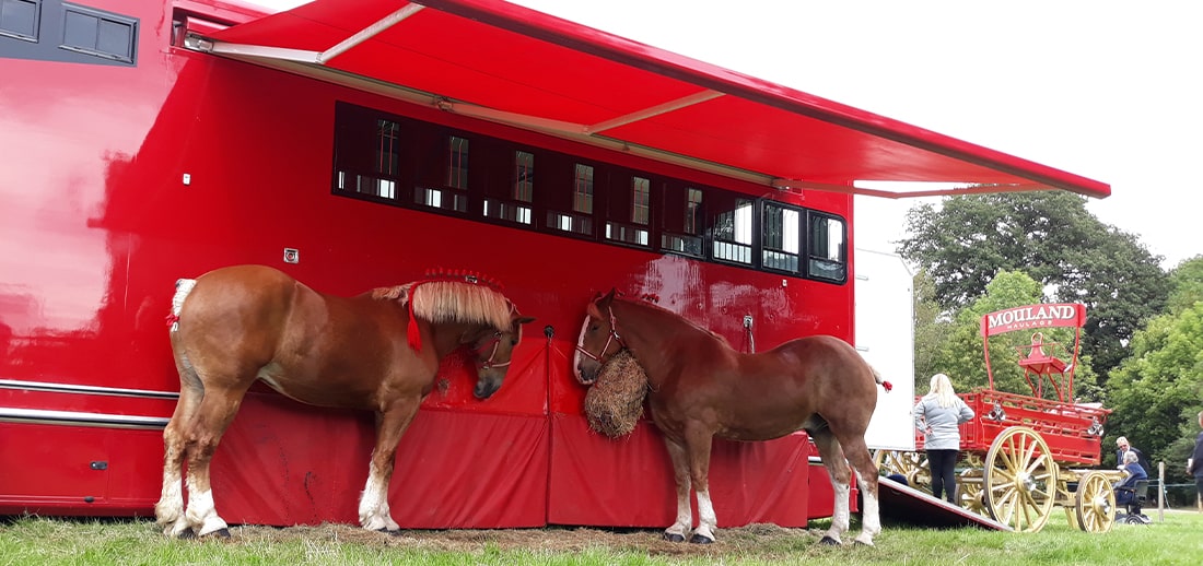 equestrian vehicle awning